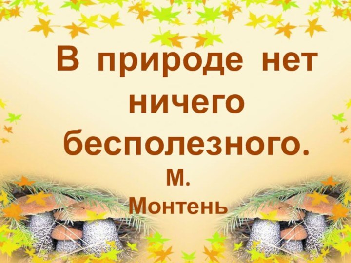 В природе нет ничего бесполезного.М. Монтень