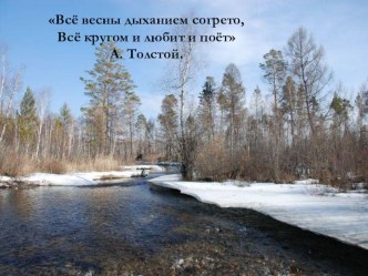 Презентация к уроку Клычков Весна в лесу презентация к уроку по чтению (3 класс)