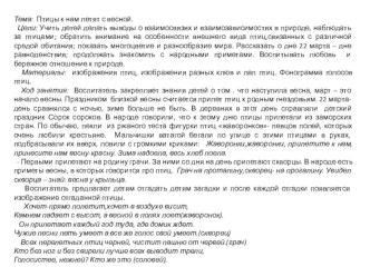 Презентация НОД по ознакомлению с кружающим миром Птицы к нам летят с весной презентация к уроку по окружающему миру (подготовительная группа)