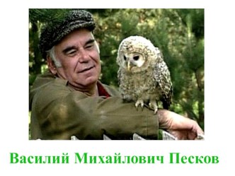 Познавательное развитие Знакомство с творчеством В. М. Пескова (Отрывок из передачи В мире животных (презентация) презентация к уроку по окружающему миру (подготовительная группа)