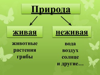 Тема: Царство грибов презентация к уроку по окружающему миру (4 класс)