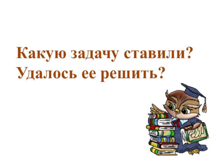 Какую задачу ставили?Удалось ее решить?