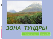 Презентация Зона тундры презентация к уроку по окружающему миру (3 класс)