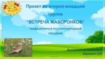 Жаворонки. проект проект по конструированию, ручному труду (младшая группа)