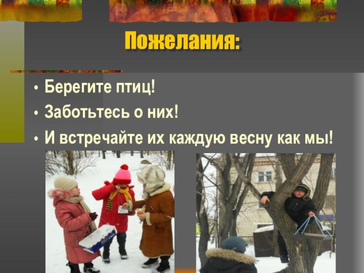 Пожелания:Берегите птиц!Заботьтесь о них!И встречайте их каждую весну как мы!