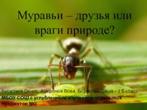 Муравьи - друзья или враги природы презентация к уроку по окружающему миру (2 класс)