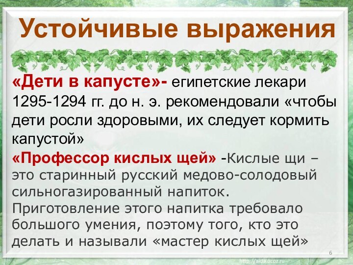 Устойчивые выражения«Дети в капусте»- египетские лекари 1295-1294 гг. до н. э. рекомендовали