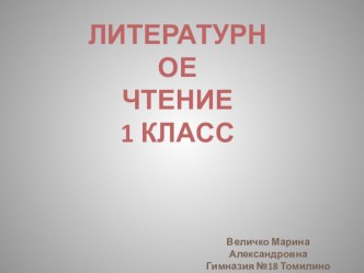 Литературное чтение (вводный урок) презентация к уроку по чтению (1 класс) по теме