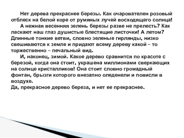 Нет дерева прекраснее березы. Как очарователен розовый отблеск на белой коре от