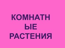 презентация Комнатные растения окружающий мир 1 класс презентация к уроку по окружающему миру (1 класс) по теме