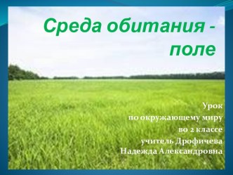 окружающий мир 2 класс Луг. Животные и растения луга план-конспект урока по окружающему миру (2 класс)