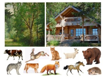 Дидактическая игра Домашние и дикие животные тренажёр по развитию речи (средняя группа)