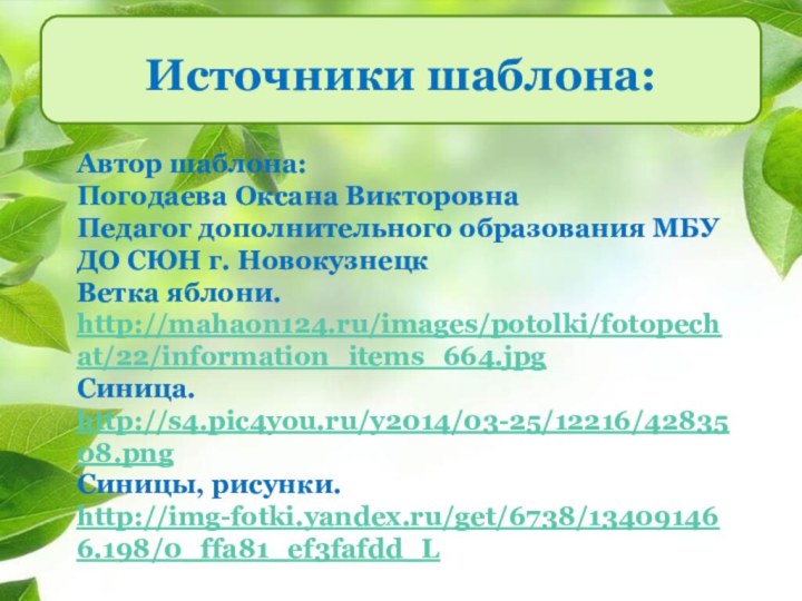 Источники шаблона:Автор шаблона:Погодаева Оксана ВикторовнаПедагог дополнительного образования МБУ ДО СЮН г. НовокузнецкВетка