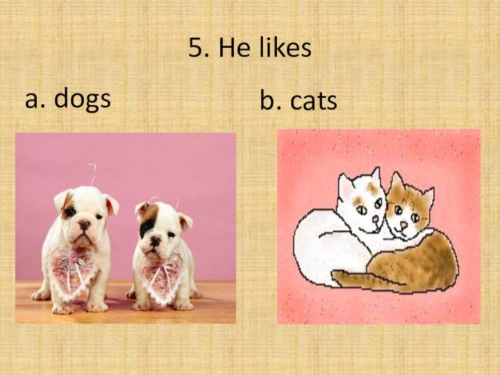 5. He likesa. dogsb. cats