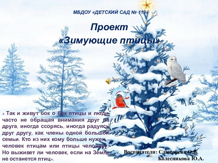 МБДОУ «Детский сад № 119»Проект «Зимующие птицы»« Так и живут бок о