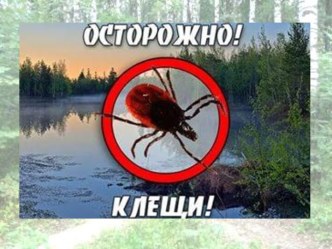 Презентация Осторожно, клещи! презентация