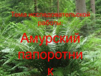 Исследовательская работа презентация к уроку (3 класс)