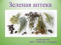 Презентация Зеленая аптека презентация к уроку по окружающему миру (1 класс)