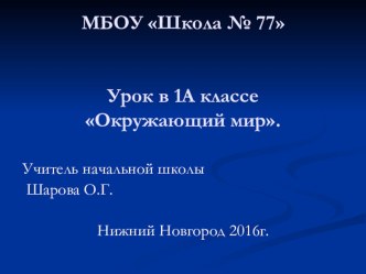 Где живут БЕЛЫЕ МЕДВЕДИ? презентация к уроку по окружающему миру (1 класс)