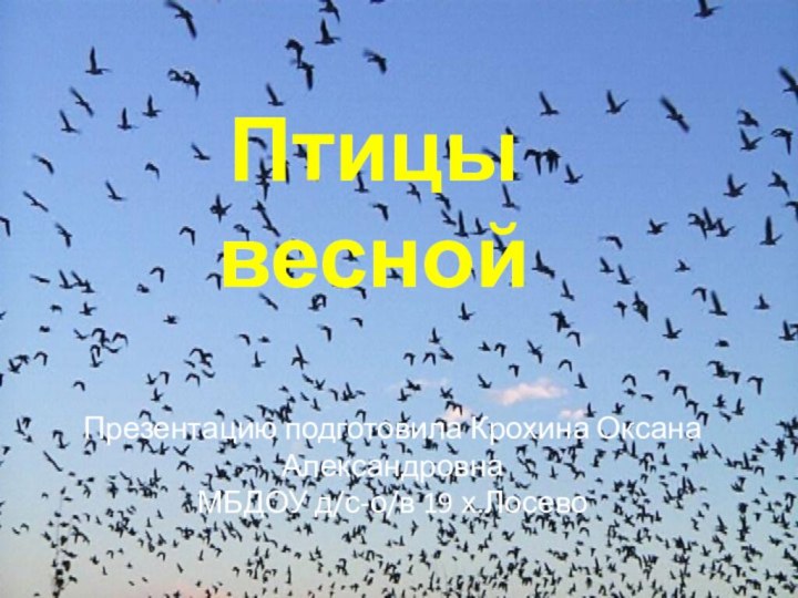 Птицы веснойПрезентацию подготовила Крохина Оксана АлександровнаМБДОУ д/с-о/в 19 х.Лосево