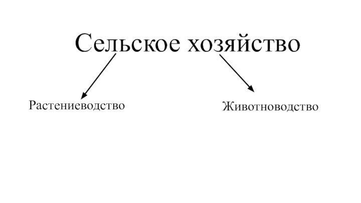 Сельское хозяйствоРастениеводствоЖивотноводство