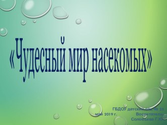 Презентация. Чудесный мир насекомых. презентация к уроку по окружающему миру (подготовительная группа)