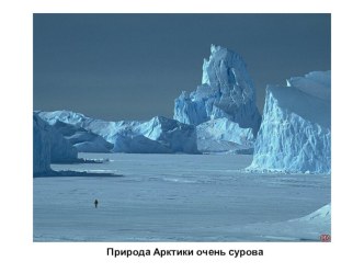 Презентация Животный мир Арктики презентация к занятию по окружающему миру (подготовительная группа)