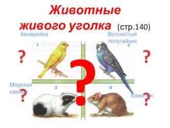 Животные живого уголка. презентация к уроку по окружающему миру (2 класс) по теме