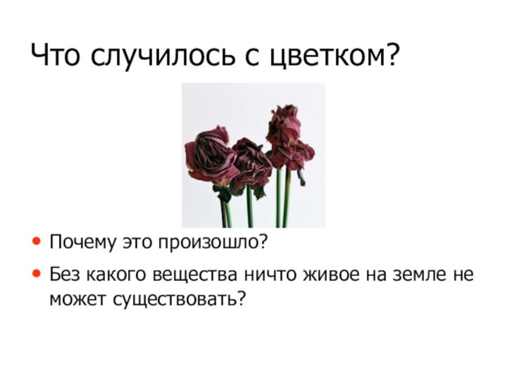 Что случилось с цветком?Почему это произошло?Без какого вещества ничто живое на земле не может существовать?