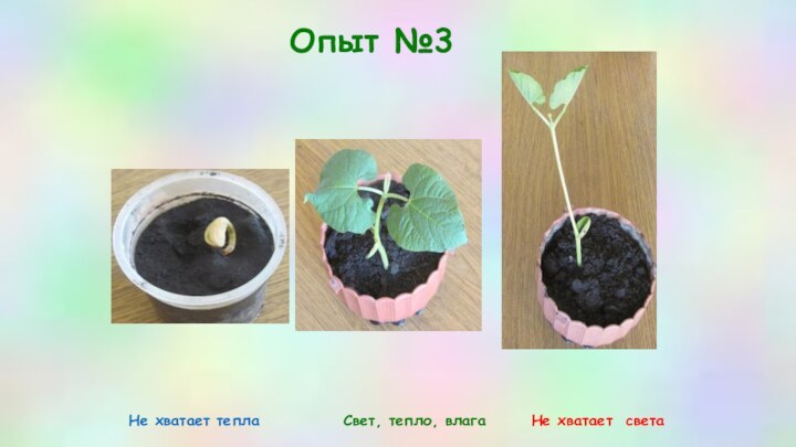 Опыт №3Не хватает тепла       Свет,