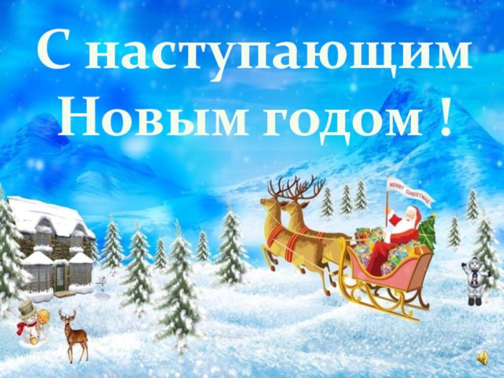 С наступающим Новым годом !