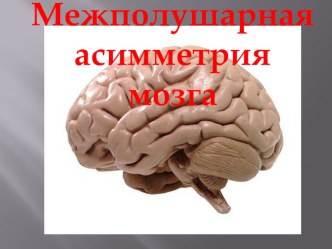 Межполушарная асимметрия мозга презентация к уроку по логопедии