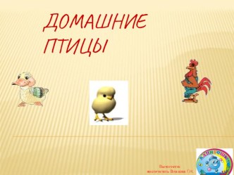 Домашние птицы презентация презентация к уроку (средняя группа)