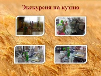 фотографии к проекту про хлеб-продолжение