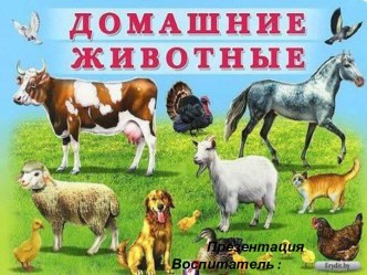 ПрезентацияДомашние животные. презентация по окружающему миру по теме