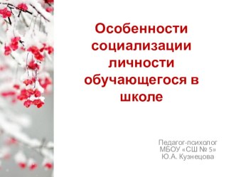 Особенности социализации личности обучающегося в школе презентация к уроку