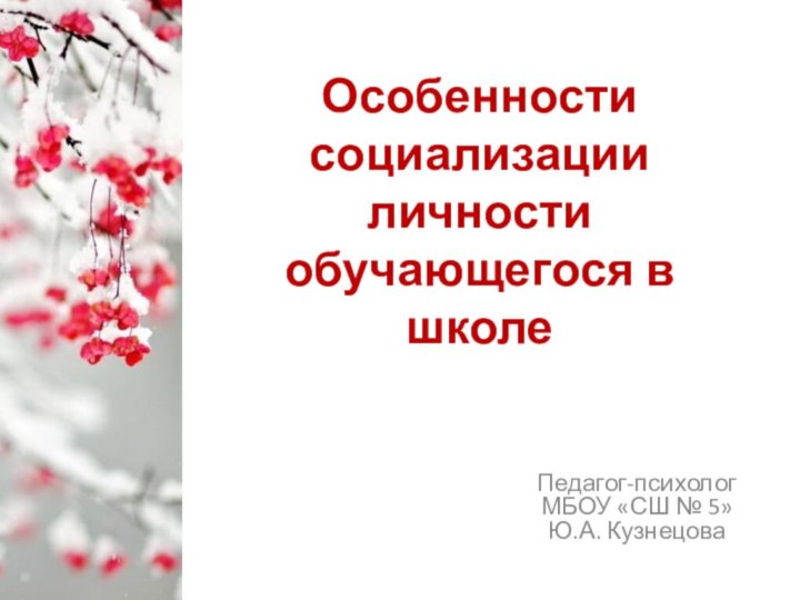 Особенности социализации личности обучающегося в школеПедагог-психолог МБОУ «СШ № 5» Ю.А. Кузнецова