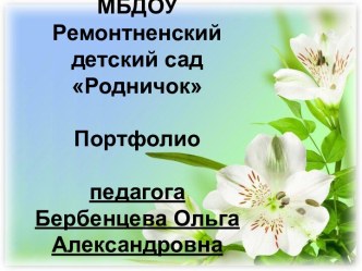 Мое портфолио презентация