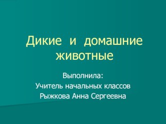 Дикие и домашние животные животные