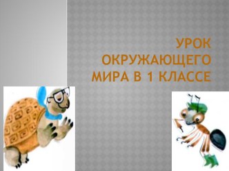 Открытый урок окружающего мира в 1 классе по теме Как помочь птицам зимой план-конспект урока по окружающему миру (1 класс)