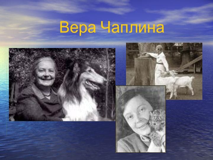 Вера Чаплина