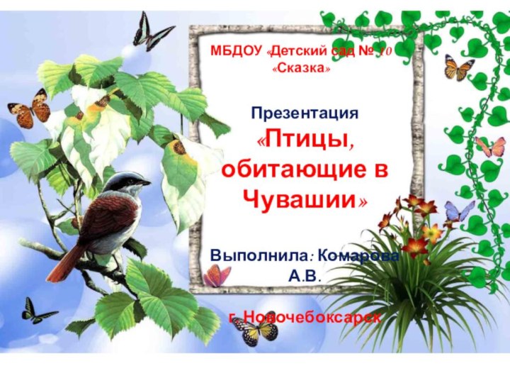 МБДОУ «Детский сад № 10 «Сказка»Презентация «Птицы, обитающие в Чувашии»Выполнила: Комарова А.В.г. Новочебоксарск