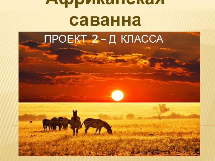 Проект 2 – Д классаАфриканская саванна