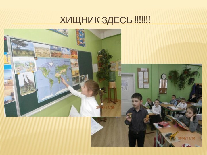 Хищник здесь !!!!!!!