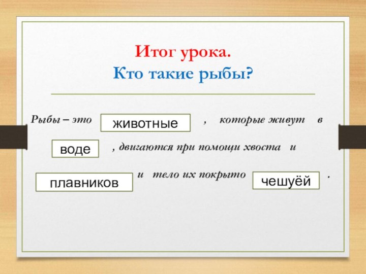 Итог урока. Кто такие рыбы?Рыбы – это