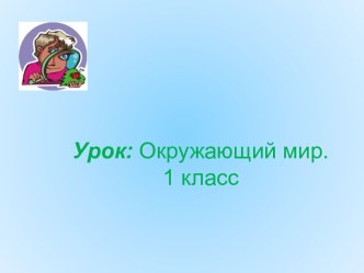 Урок окружающего мира в 1 классе. Тема: Наши помощники - органы чувств презентация урока для интерактивной доски по окружающему миру (1 класс) по теме