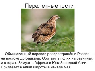 Изложение Перелётные гости 3 кл. презентация к уроку по русскому языку (3 класс)