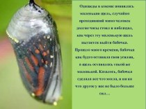 Притча о бабочках презентация к уроку (младшая группа)