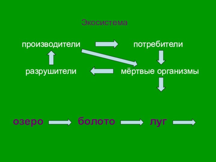 Экосистемапроизводителипотребителиразрушителимёртвые организмыозероболотолуг