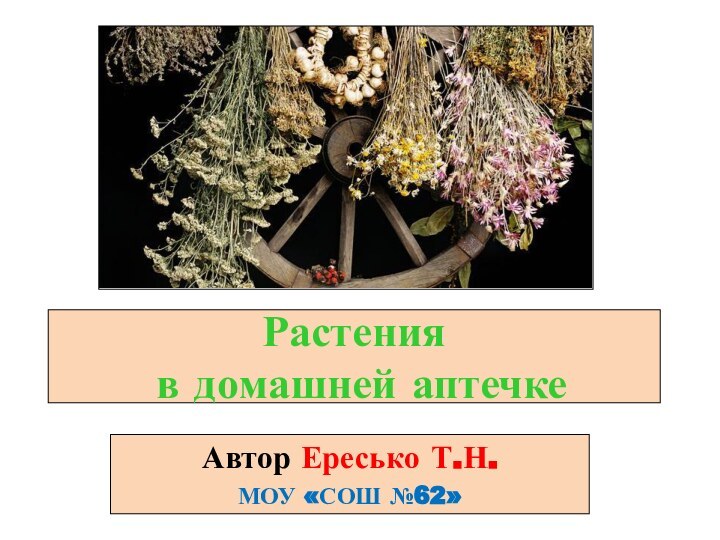 Растения  в домашней аптечкеАвтор Ересько Т.Н. МОУ «СОШ №62»